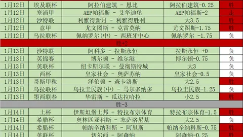 “2025年拜仁啤酒节特别版球衣发布：绿色点缀经典款式”
