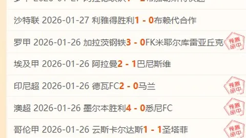 阿隆索盛赞：连续28场德甲客场胜利凸显非凡心态与高超驾驭技巧