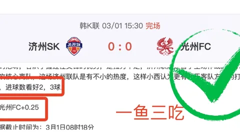 国产galgame续作18888元，百万销量作品受争议